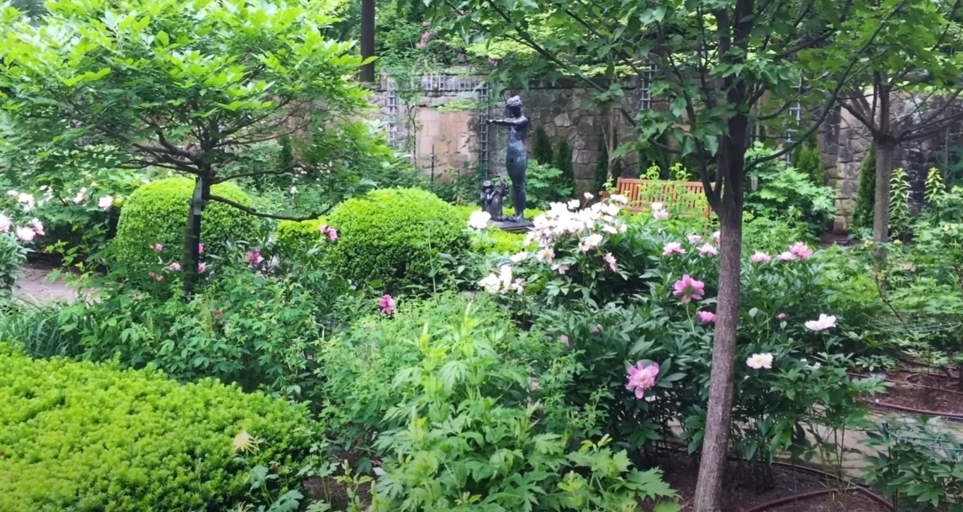 Landscape Design & Installation in La Quinta, CA