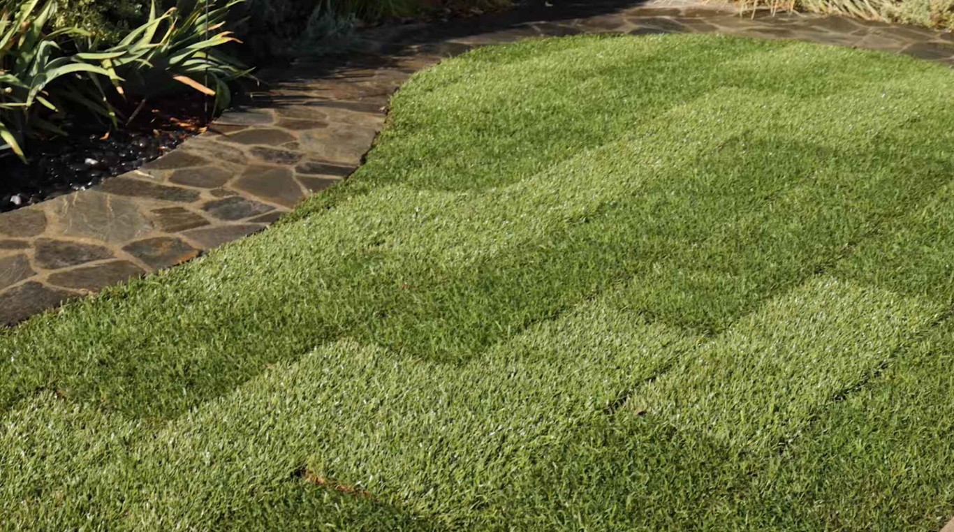 Lawn Care & Maintenance in La Quinta, CA